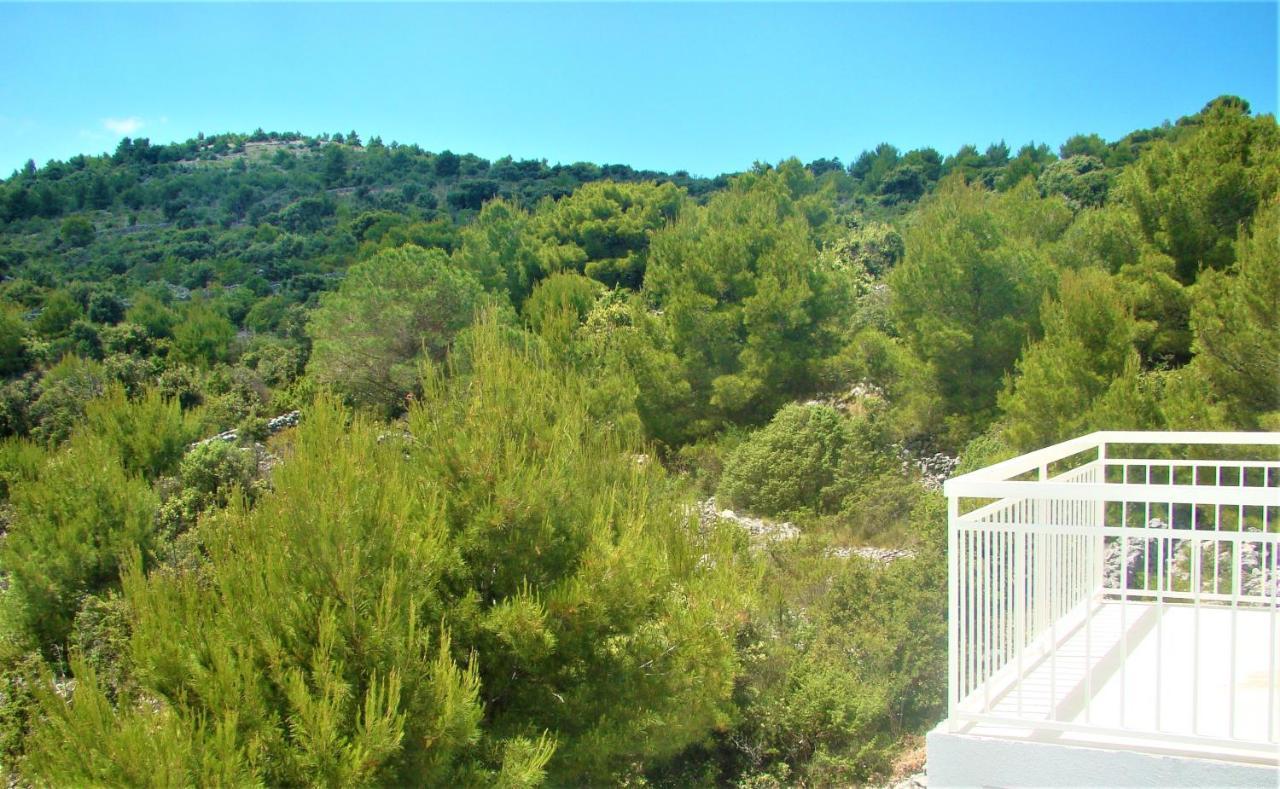 Villa Sena Ražanj Εξωτερικό φωτογραφία